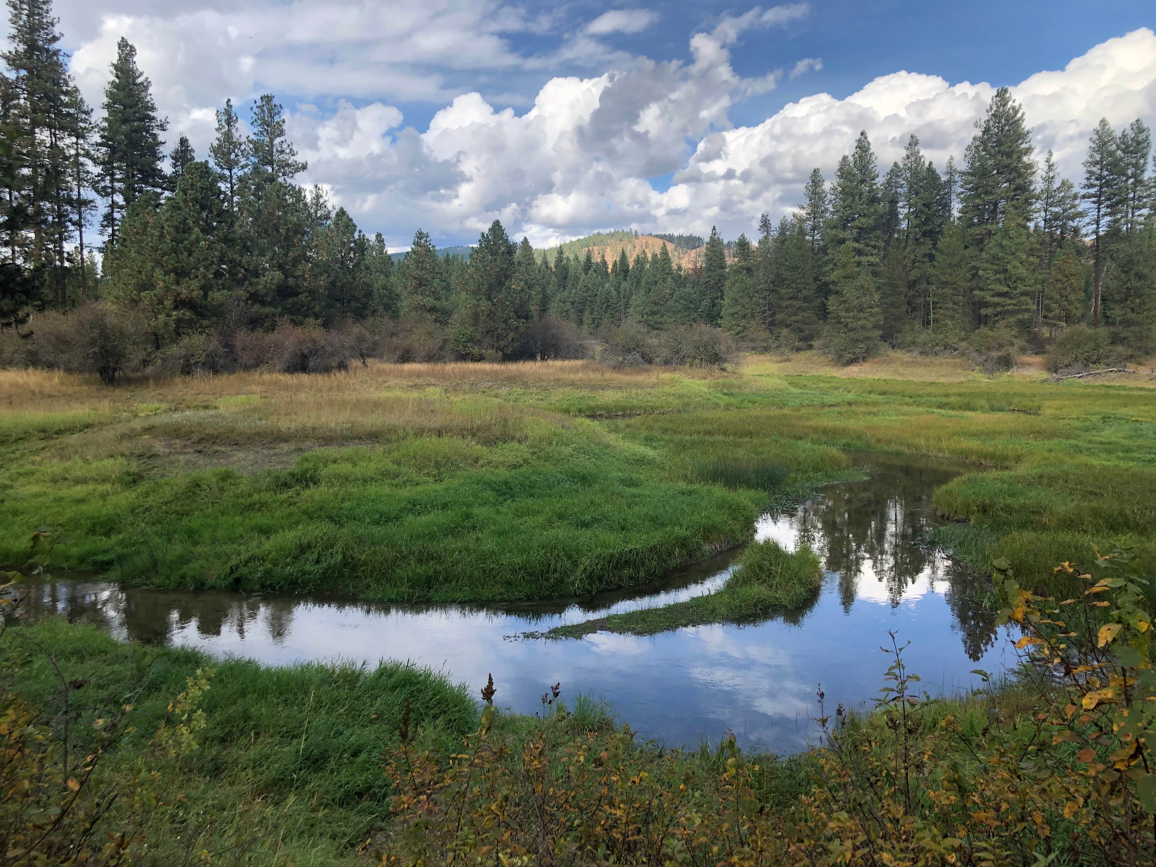 Camper-submitted photo at Skookum Creek Campground near Spokane, WA