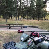 Review photo of Stoddard Creek Campground by Linda G., September 27, 2020