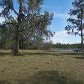 Review photo of Little Manatee River State Park Campground by Jeanene A., May 18, 2018