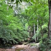 Review photo of Redbud Campground at Bell Smith Springs by Joel H., September 27, 2020