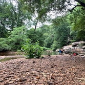 Review photo of Redbud Campground at Bell Smith Springs by Joel H., September 27, 2020