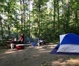 Joel H.'s photo at Oak Point - Lake Glendale near Herod, IL