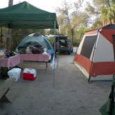 Review photo of Little Manatee River State Park Campground by Jeanene A., May 18, 2018