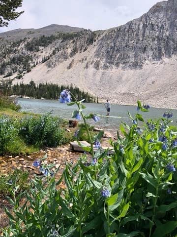 Camper submitted image from Meadow Lake Campground - 5