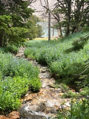 Camper submitted image from Meadow Lake Campground - 2