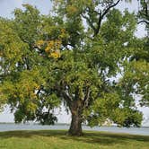 Review photo of Lake Manawa State Park Campground by Tony B., September 15, 2020