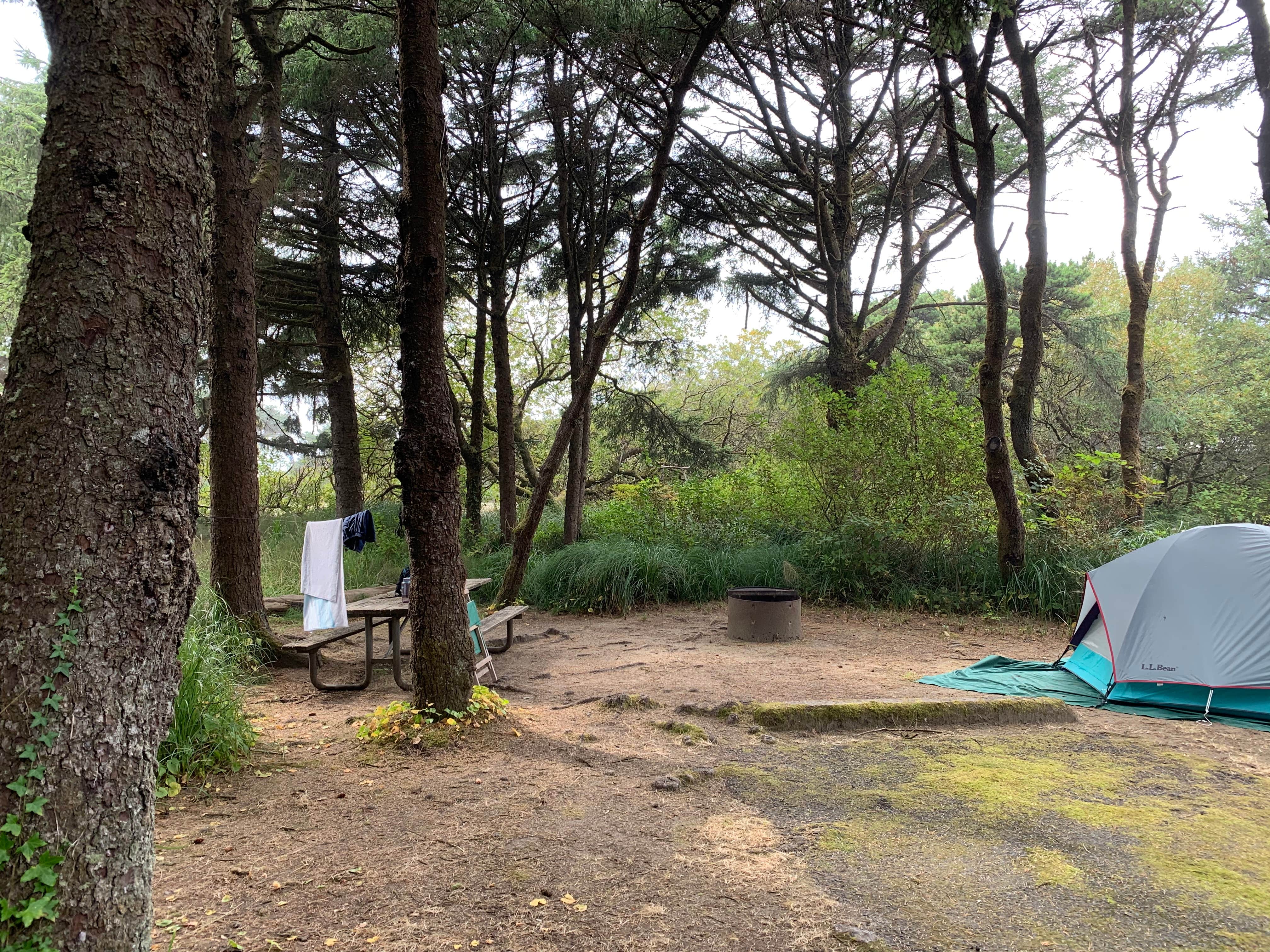 Tim's photo at Beachside State Recreation Site near Waldport, OR