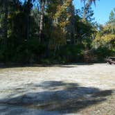 Review photo of Little Manatee River State Park Campground by Jeanene A., May 18, 2018