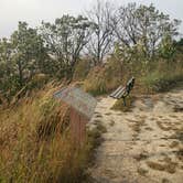 Review photo of Waubonsie State Park Campground by Tony B., September 27, 2020