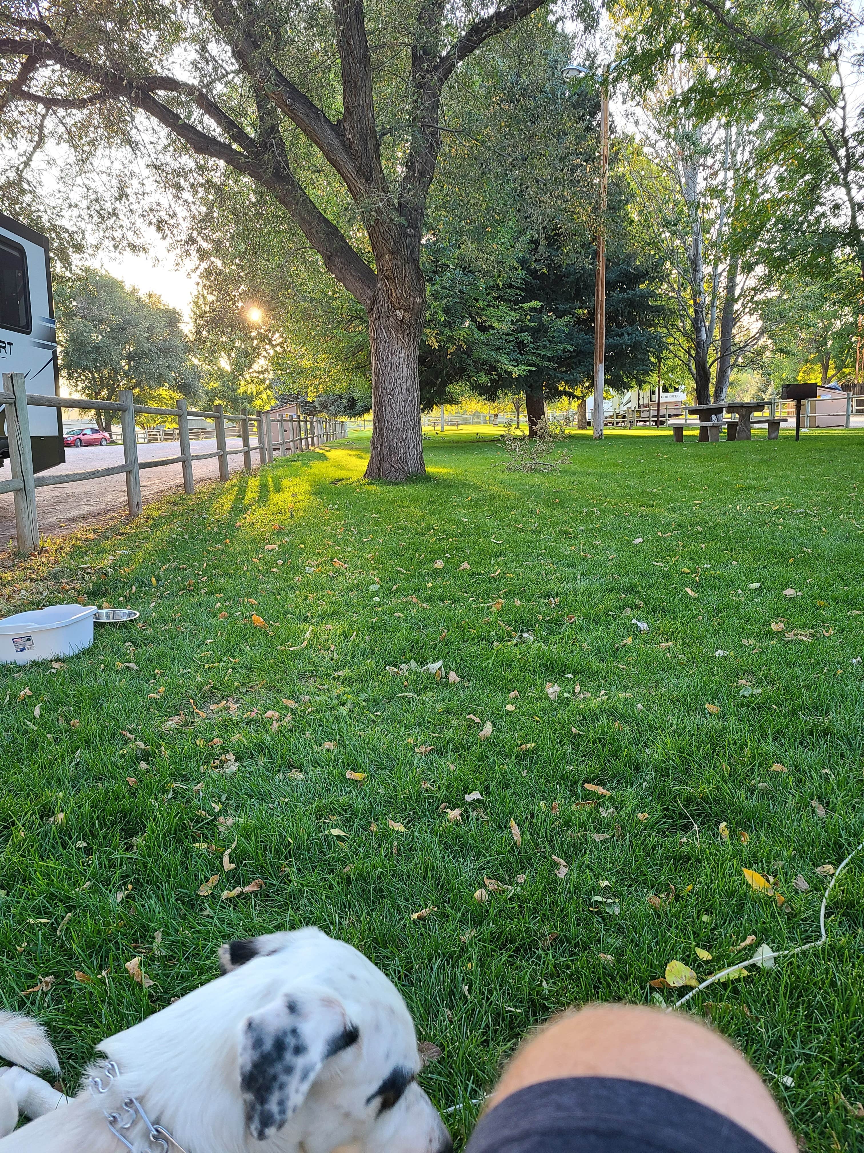 Jon G.'s photo of camping with pets at Riverside City Park in Wyoming