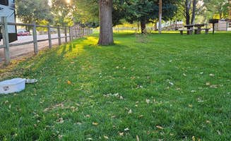 Jon G.'s photo of camping with pets at Riverside City Park near Evansville, WY
