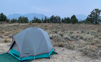 Tim's photo of tent camping at Travertine Road Dispersed - Yellowstone near Island Park, ID