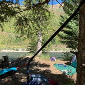 Review photo of North fork Flathead River dispersed camping by Tim , September 27, 2020