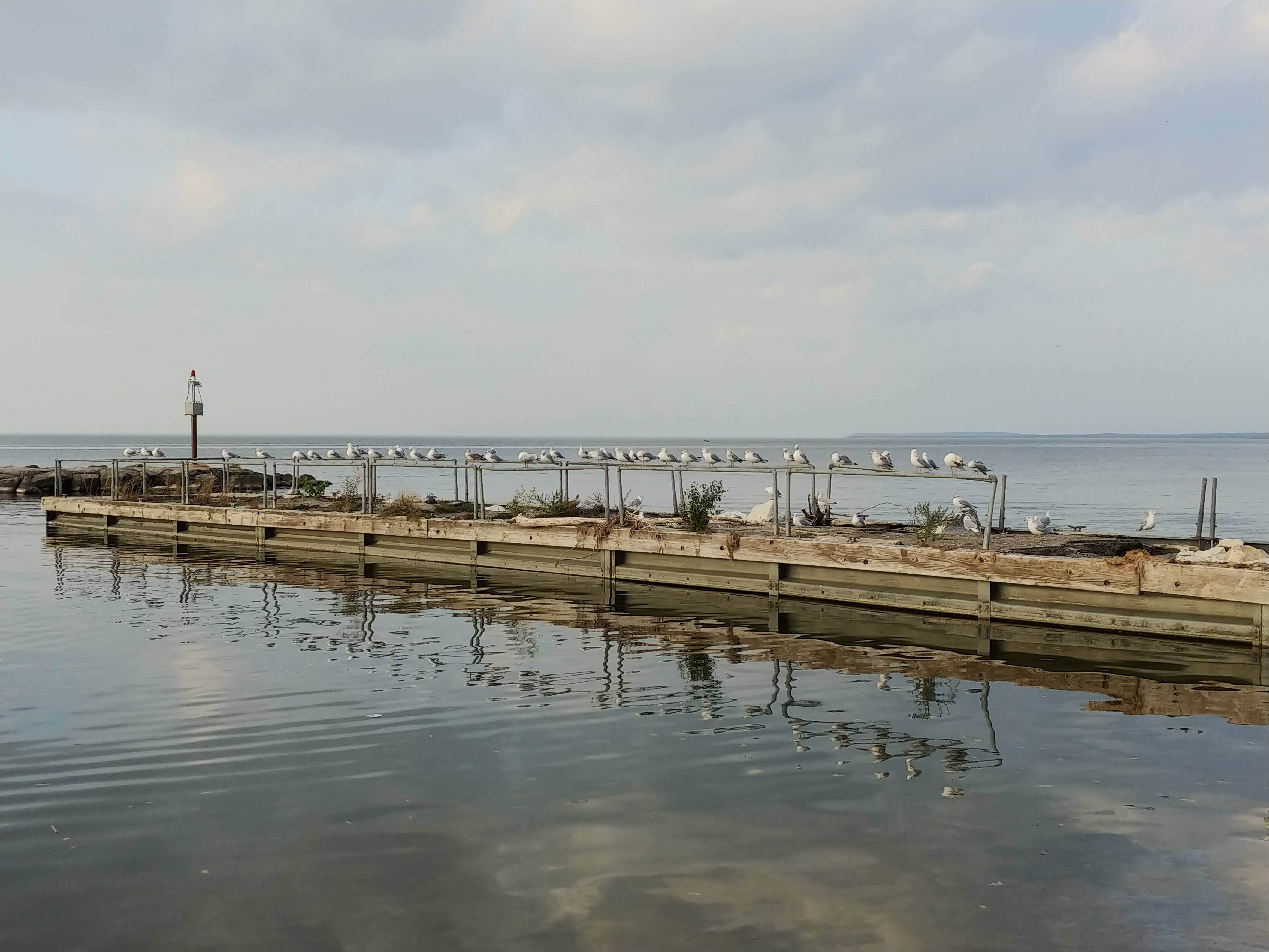 View All
