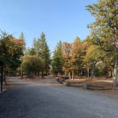 Review photo of Lassen RV Park Campground by Meara H., September 27, 2020