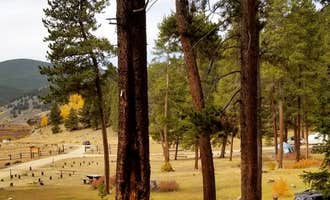 Camping near Kirby Gulch: Burning Bear Campground, Grant, Colorado