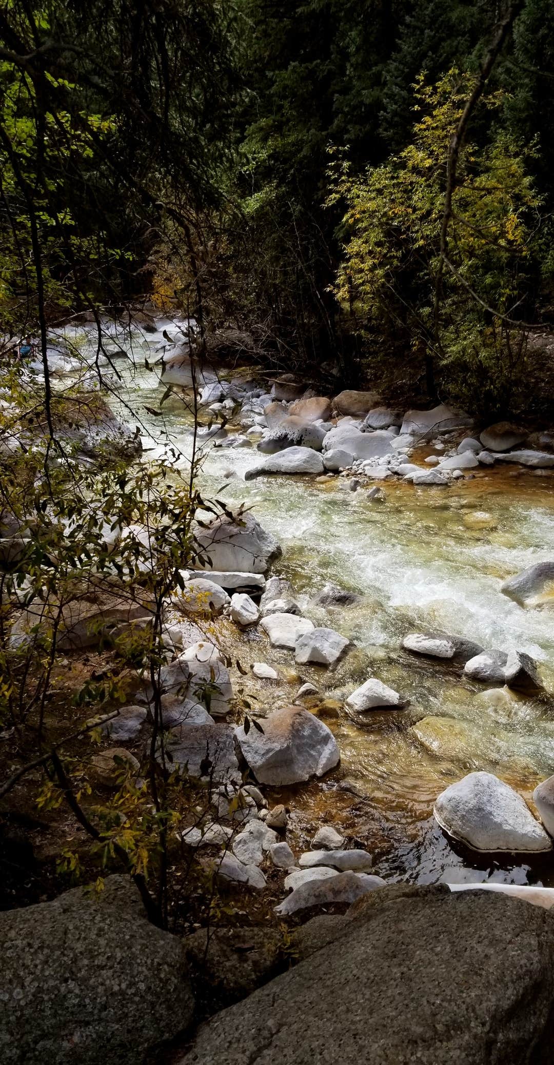 Camper submitted image from Burning Bear Campground - 3