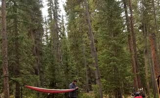 Marc F.'s photo of camping with pets at Burning Bear Campground near Jefferson, CO