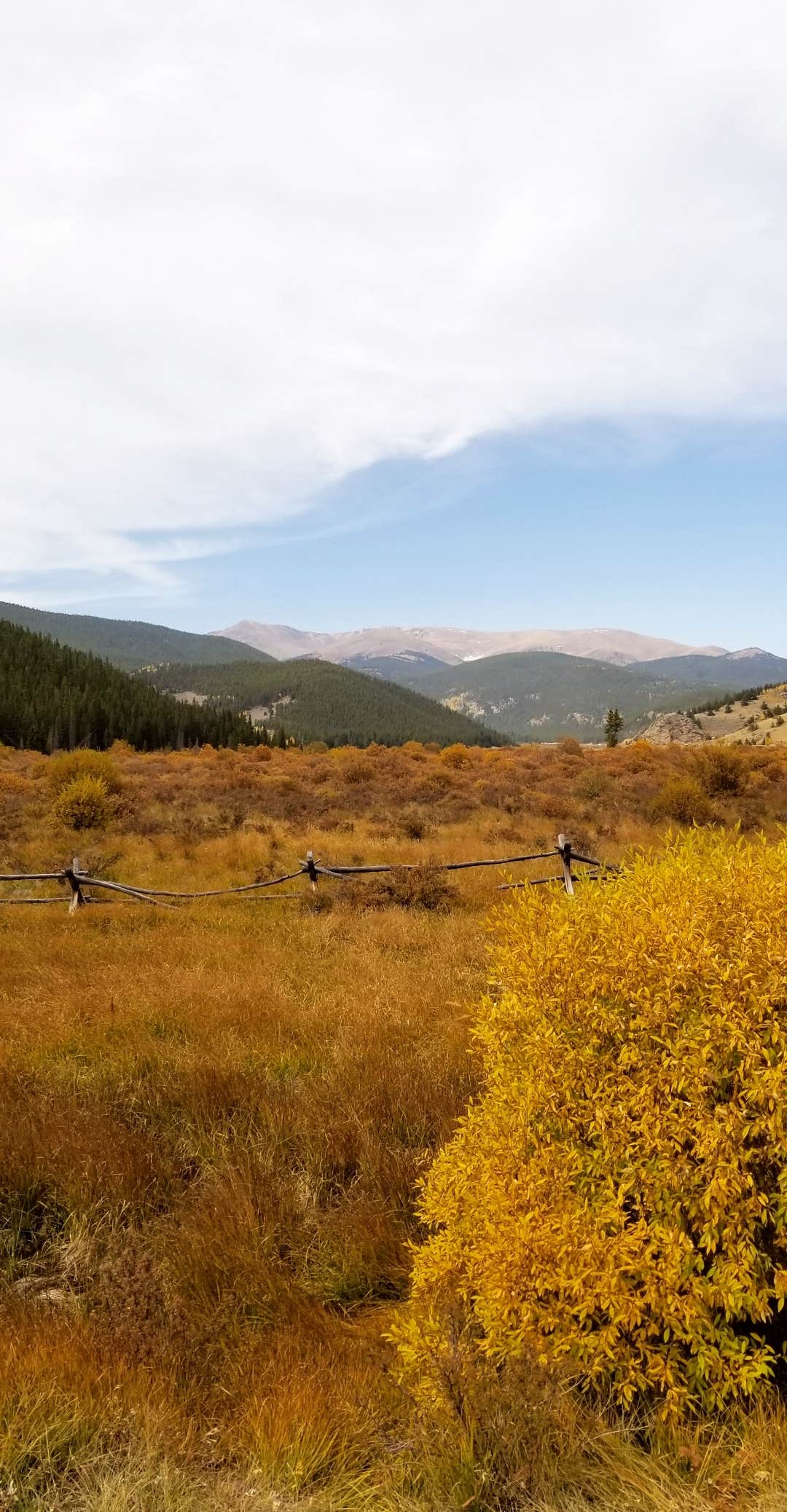Camper-submitted photo at Burning Bear Campground near Silver Plume, CO