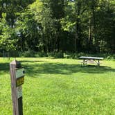 Review photo of Six Pines Campground — Backbone State Park by Lee D., September 27, 2020