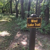 Review photo of Six Pines Campground — Backbone State Park by Lee D., September 27, 2020