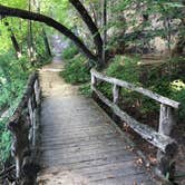 Review photo of Six Pines Campground — Backbone State Park by Lee D., September 27, 2020