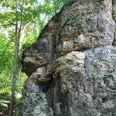 Review photo of Six Pines Campground — Backbone State Park by Lee D., September 27, 2020