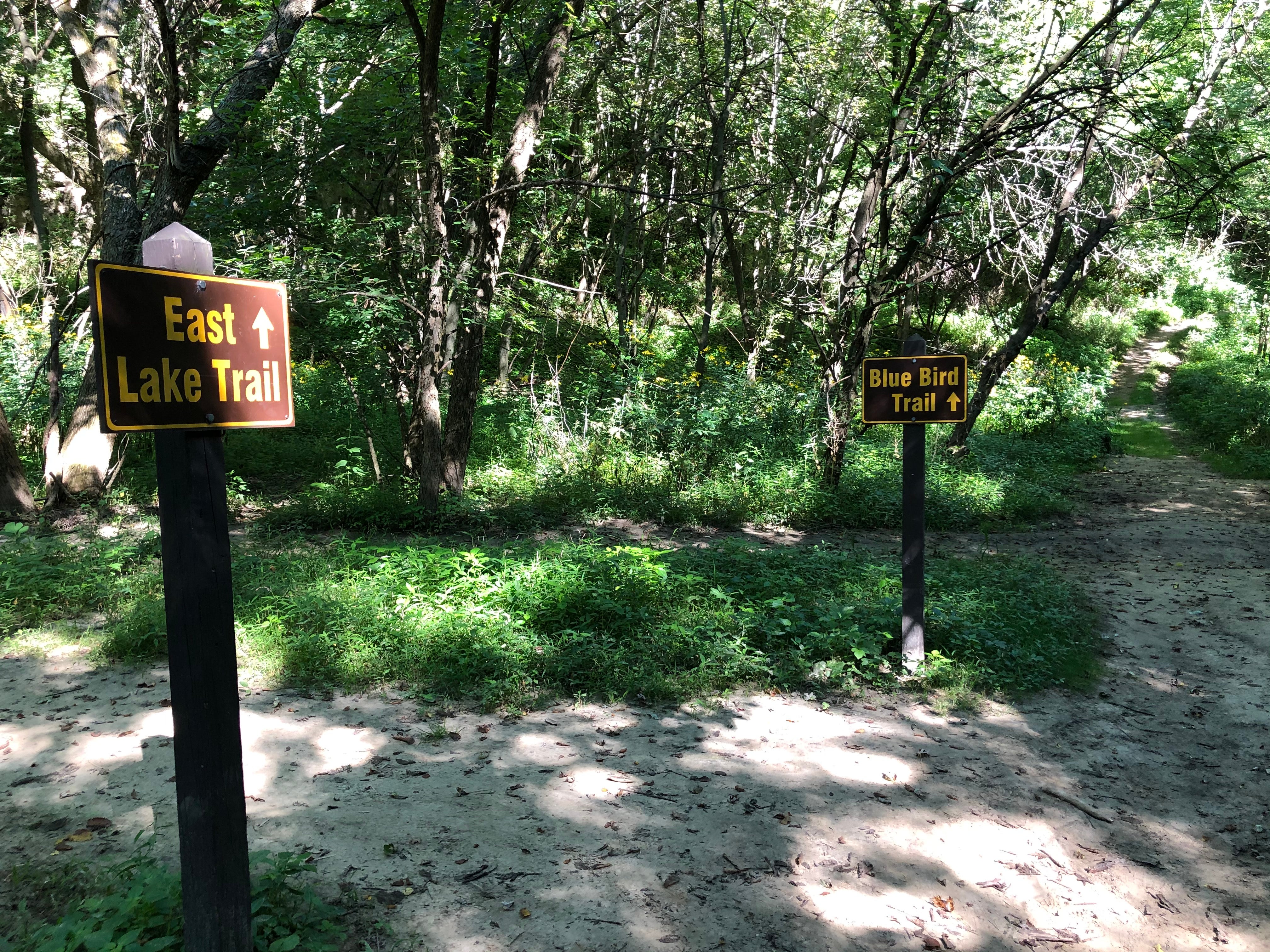 You can choose to stay on the East Lake trail or veer off onto the Blue Bird trail