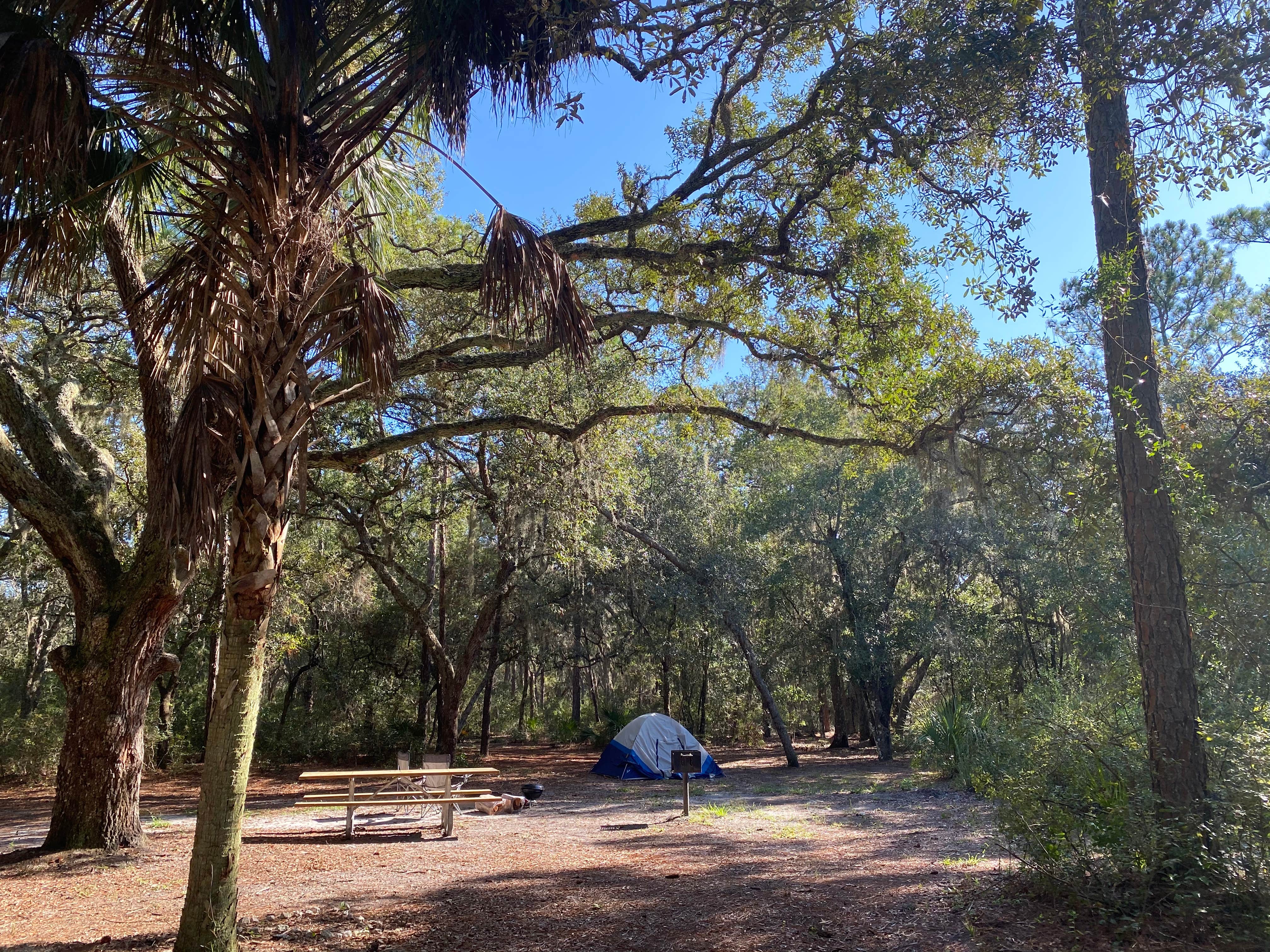 Alyssa D.'s photo at Bennett Field Campground — Tiger Bay State Forest near Lake Helen, FL