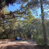 Review photo of Bennett Field Campground - Tiger Bay State Forest by Alyssa D., September 20, 2020