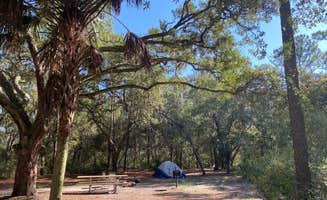Alyssa D.'s photo at Bennett Field Campground — Tiger Bay State Forest near DeLand, FL