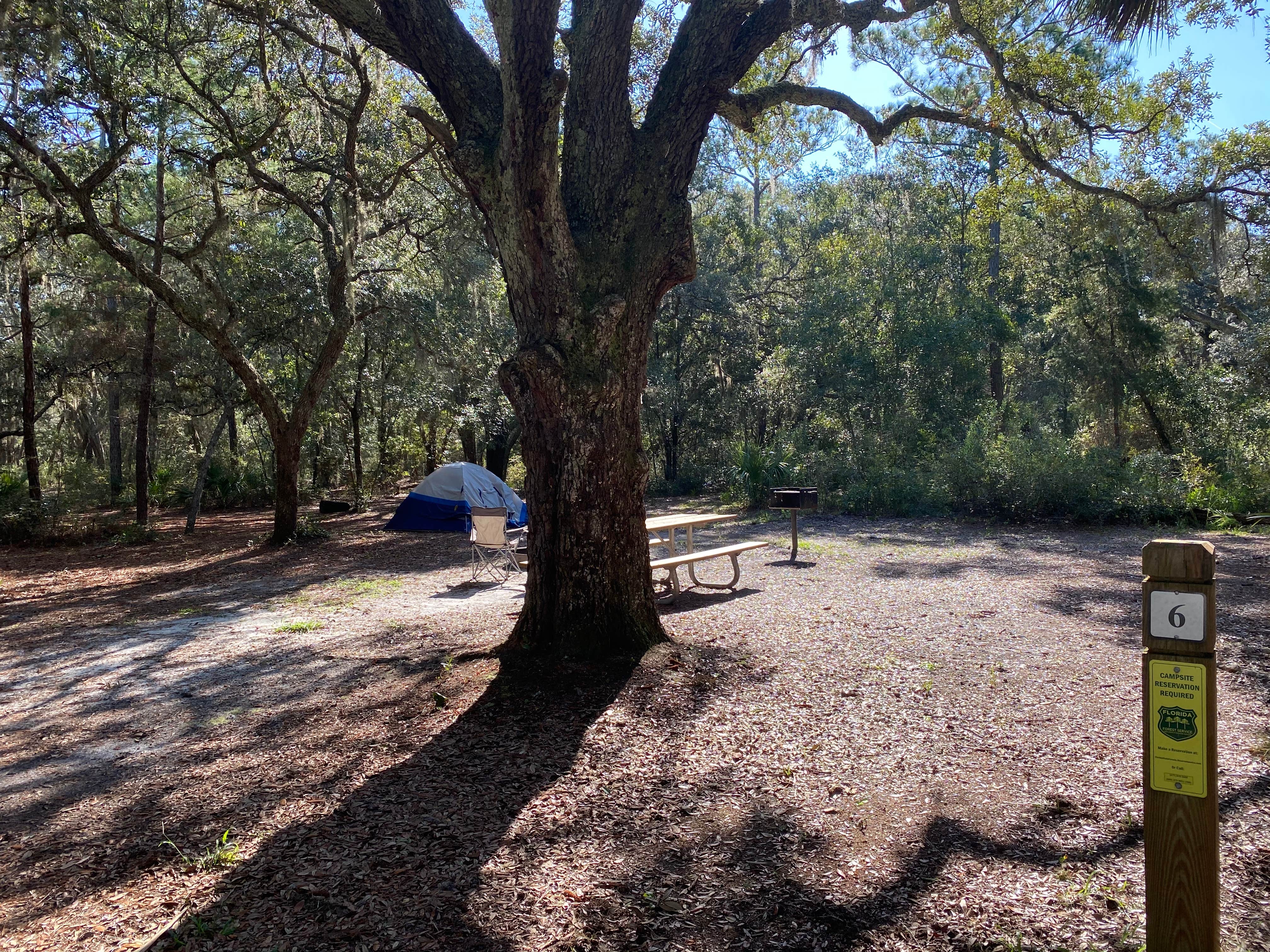 Alyssa D.'s photo at Bennett Field Campground — Tiger Bay State Forest near Port Orange, FL