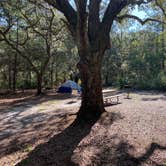 Review photo of Bennett Field Campground - Tiger Bay State Forest by Alyssa D., September 20, 2020