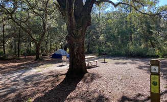 Alyssa D.'s photo at Bennett Field Campground — Tiger Bay State Forest near Port Orange, FL