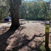 Review photo of Bennett Field Campground - Tiger Bay State Forest by Alyssa D., September 20, 2020