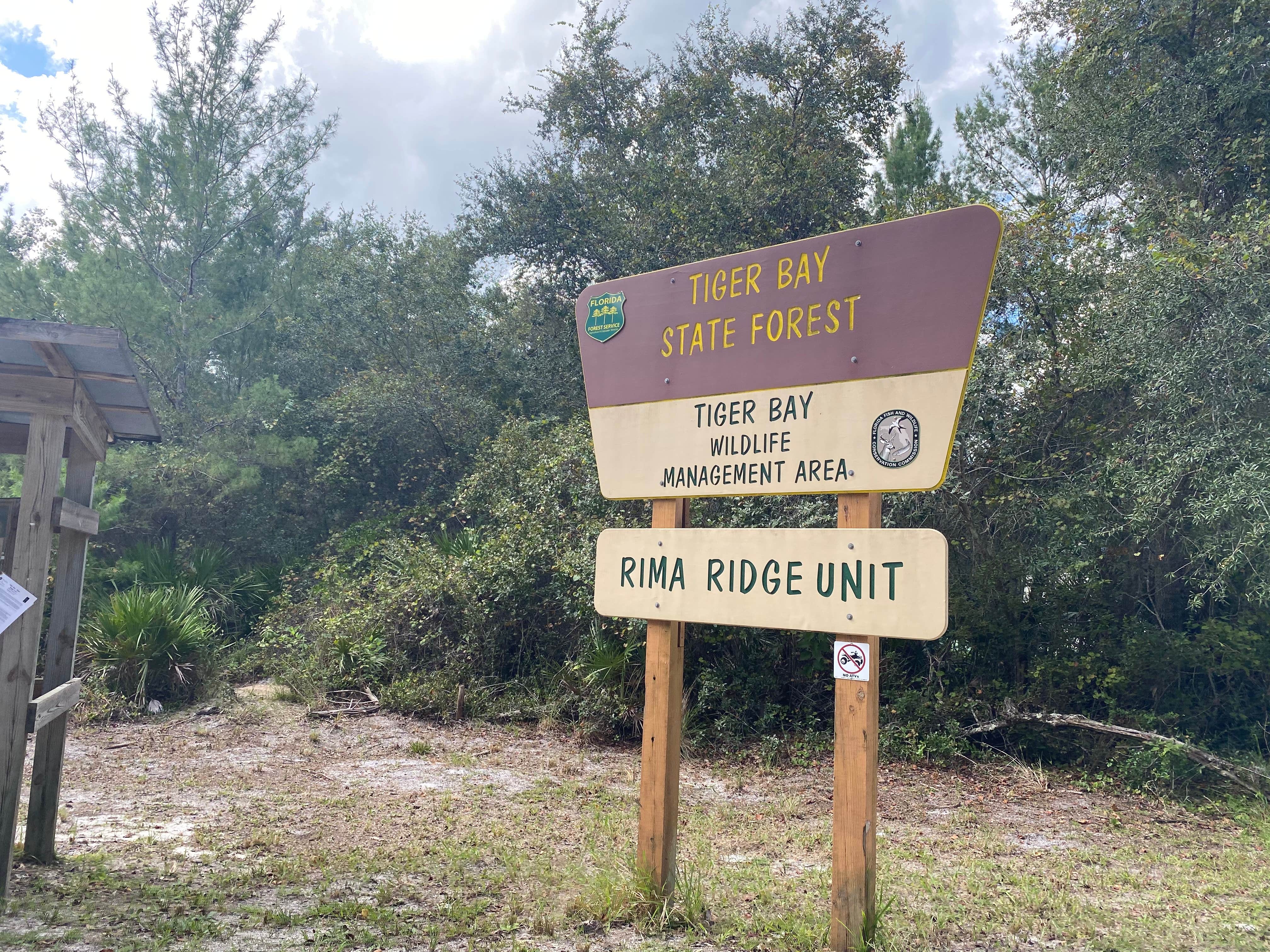 Camper submitted image from Tram Road Equestrian Campground - Tiger Bay State Forest - 1