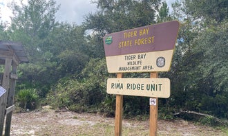 Camping near Lake George Conservation Area: Tram Road Equestrian Campground - Tiger Bay State Forest, Daytona Beach, Florida