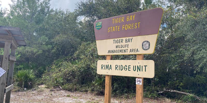 Camper submitted image from Tram Road Equestrian Campground — Tiger Bay State Forest