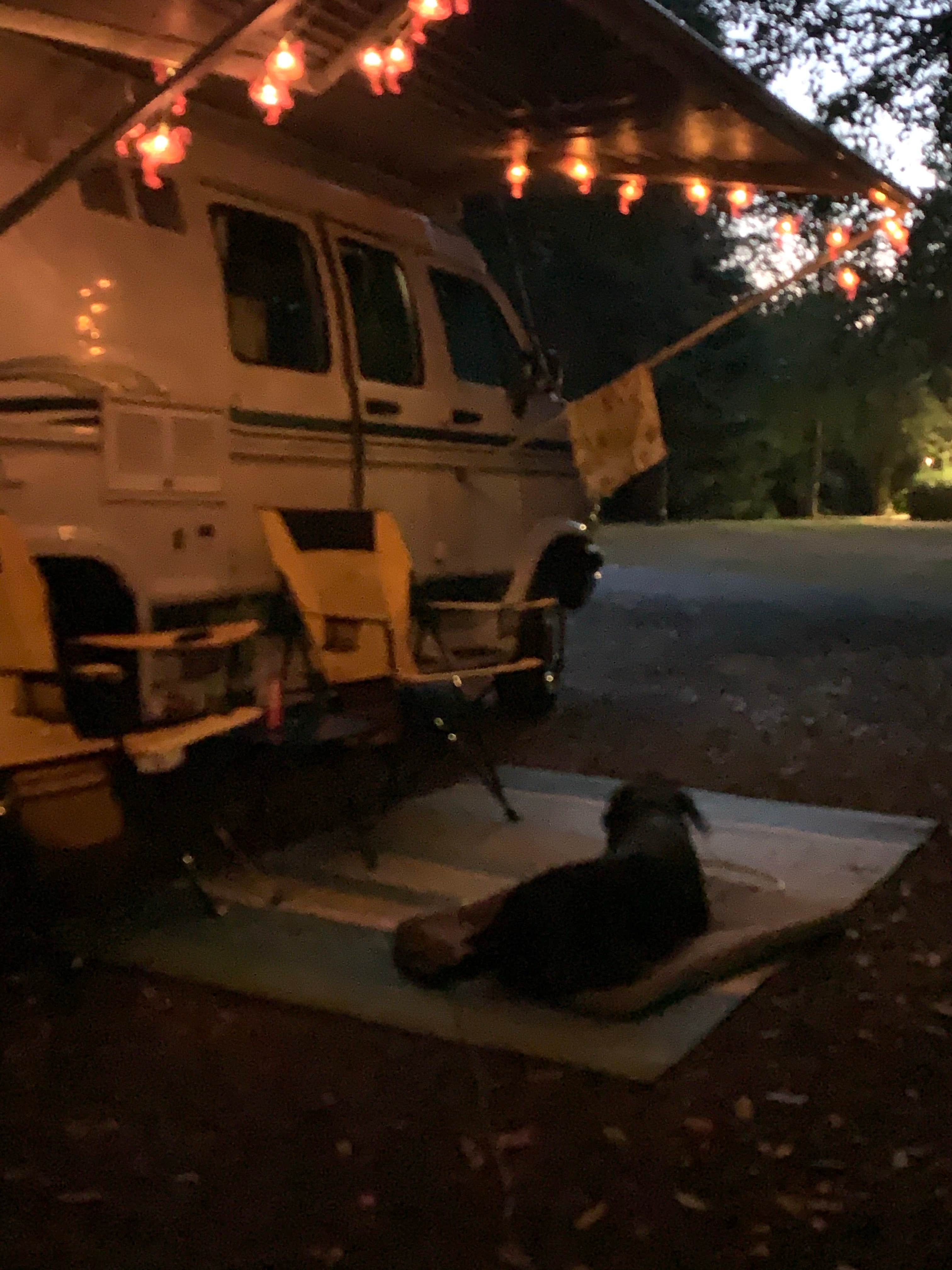 Camper submitted image from Secret Camp RV Park - 4