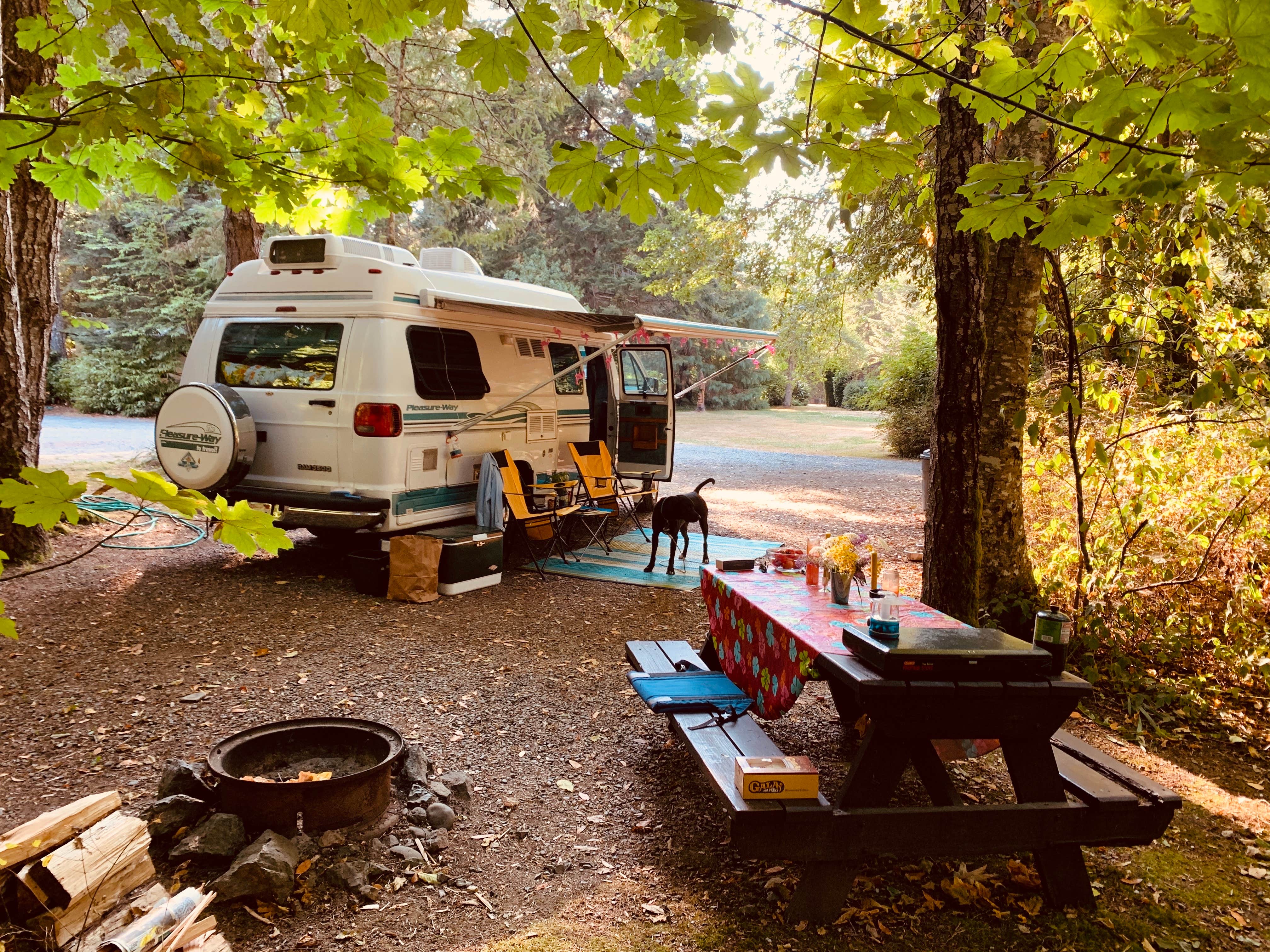 Camper-submitted photo at Secret Camp RV Park near Ophir, OR