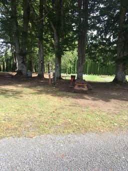 Camper-submitted photo at Camp Lakeview Resort near Orting, WA