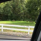Review photo of Camp Lakeview Resort by Queen Katie S., September 14, 2020