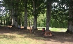 Camping near Holiday Park Military - Lewis McChord Base: Camp Lakeview Resort, Eatonville, Washington
