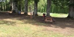 Camper submitted image from Camp Lakeview Resort