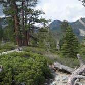 Review photo of Eagle Point Campground — Emerald Bay State Park by Michael I., May 18, 2018