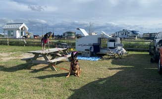 Trey C.'s photo of camping with pets at Delaware Seashore State Park Campground near Millville, DE