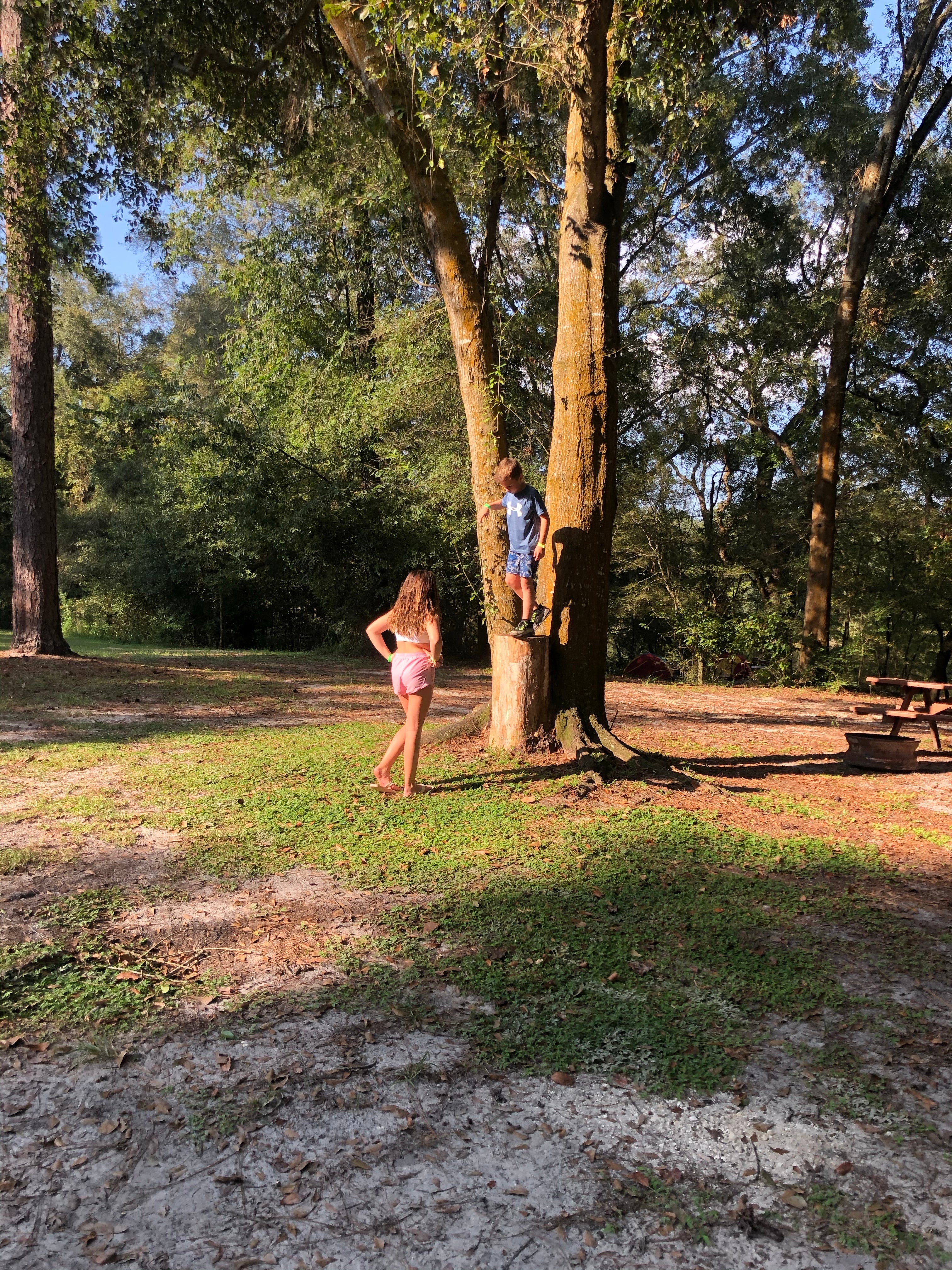 Camper submitted image from Suwannee River Rendezvous Resort and Campground - 2