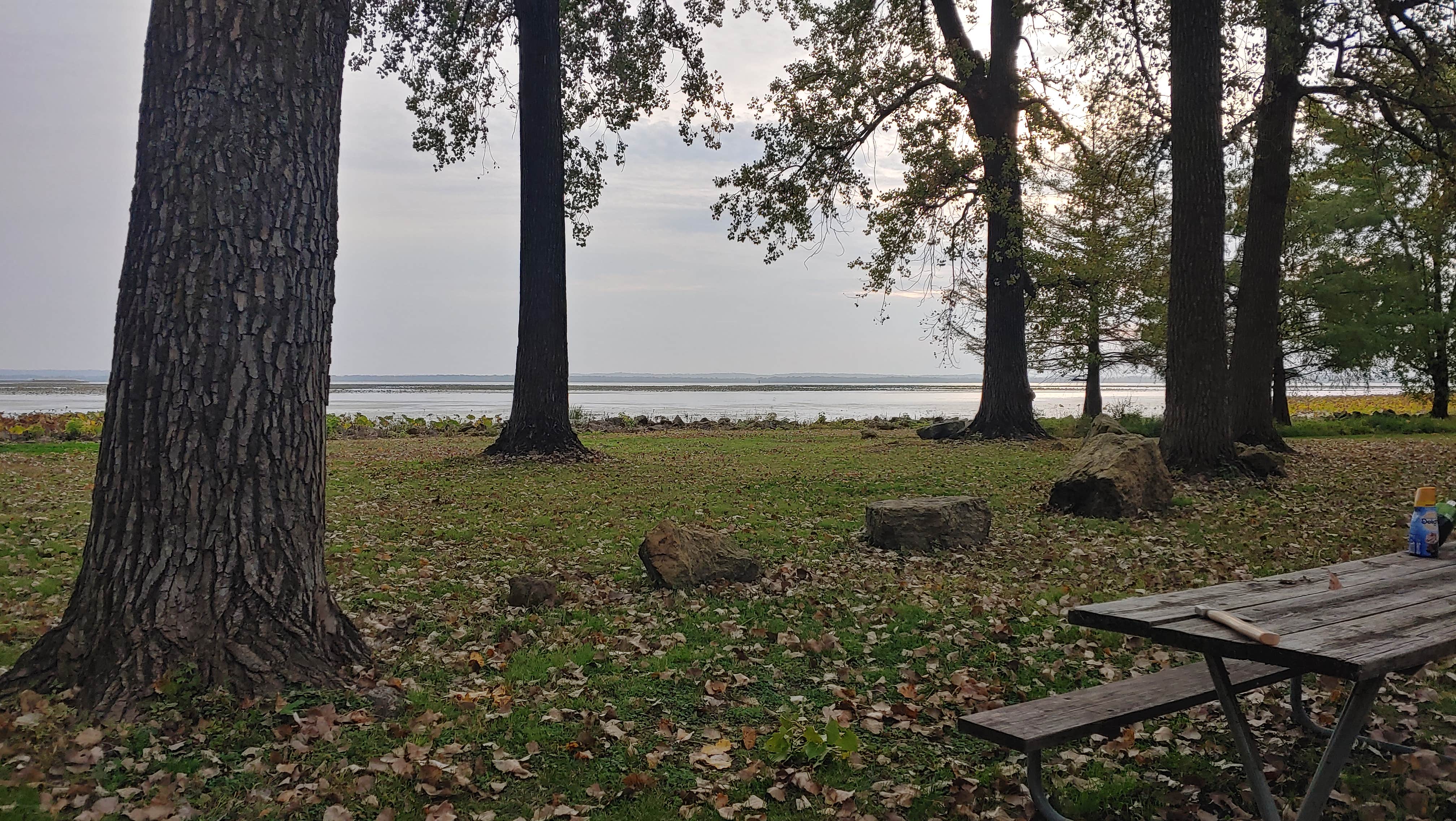 Camper submitted image from Bulger's Hollow Recreation Area — Mississippi River Pools 11 22 - 2