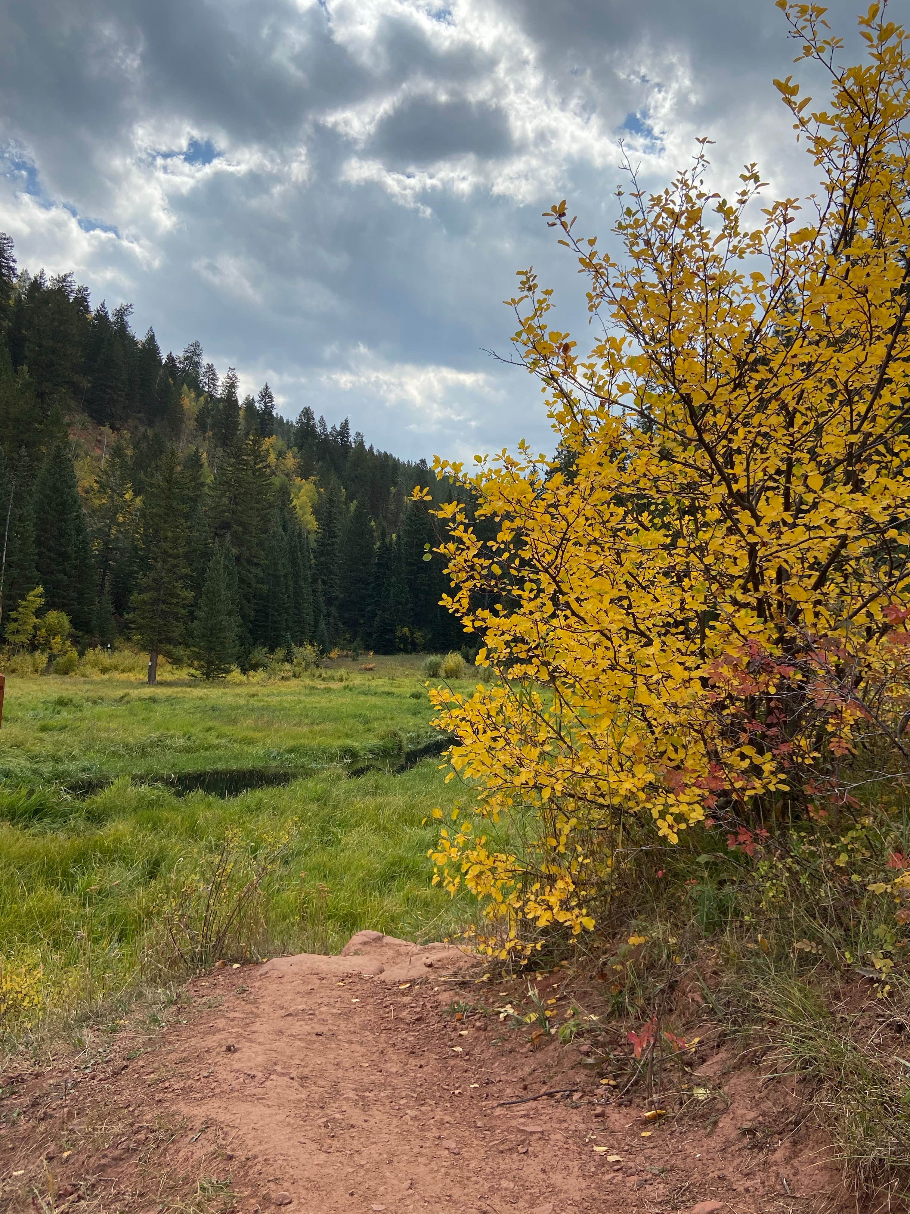 Camper submitted image from Sylvan Lake Campground — Sylvan Lake State Park - 3