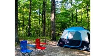 Back-Achers Campsites
